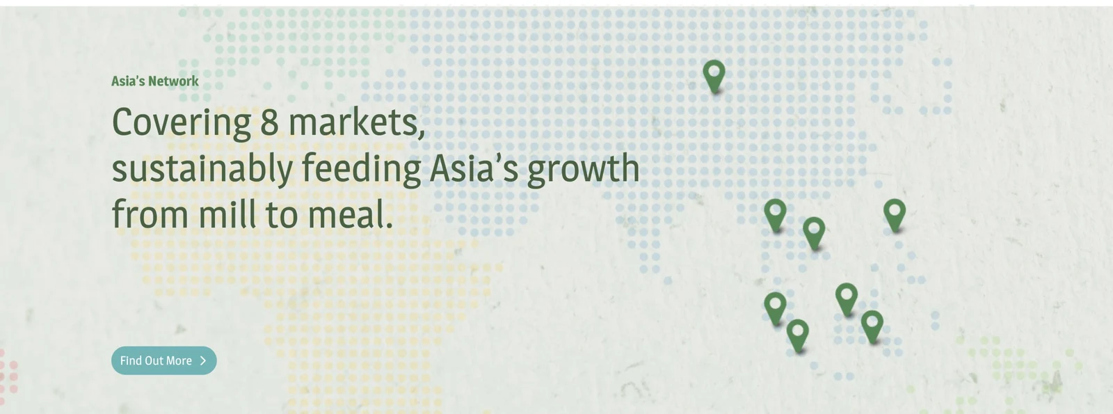 Asia's Network: covering 8 markets, sustainably feeding Asia's growth from mill to meal, over a dotted map with pins
